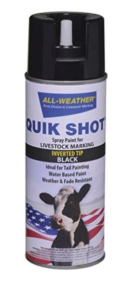 pics/Markal/paintstik/paintstik b-e/all-weather-quik-shot-inverted-dip.jpg